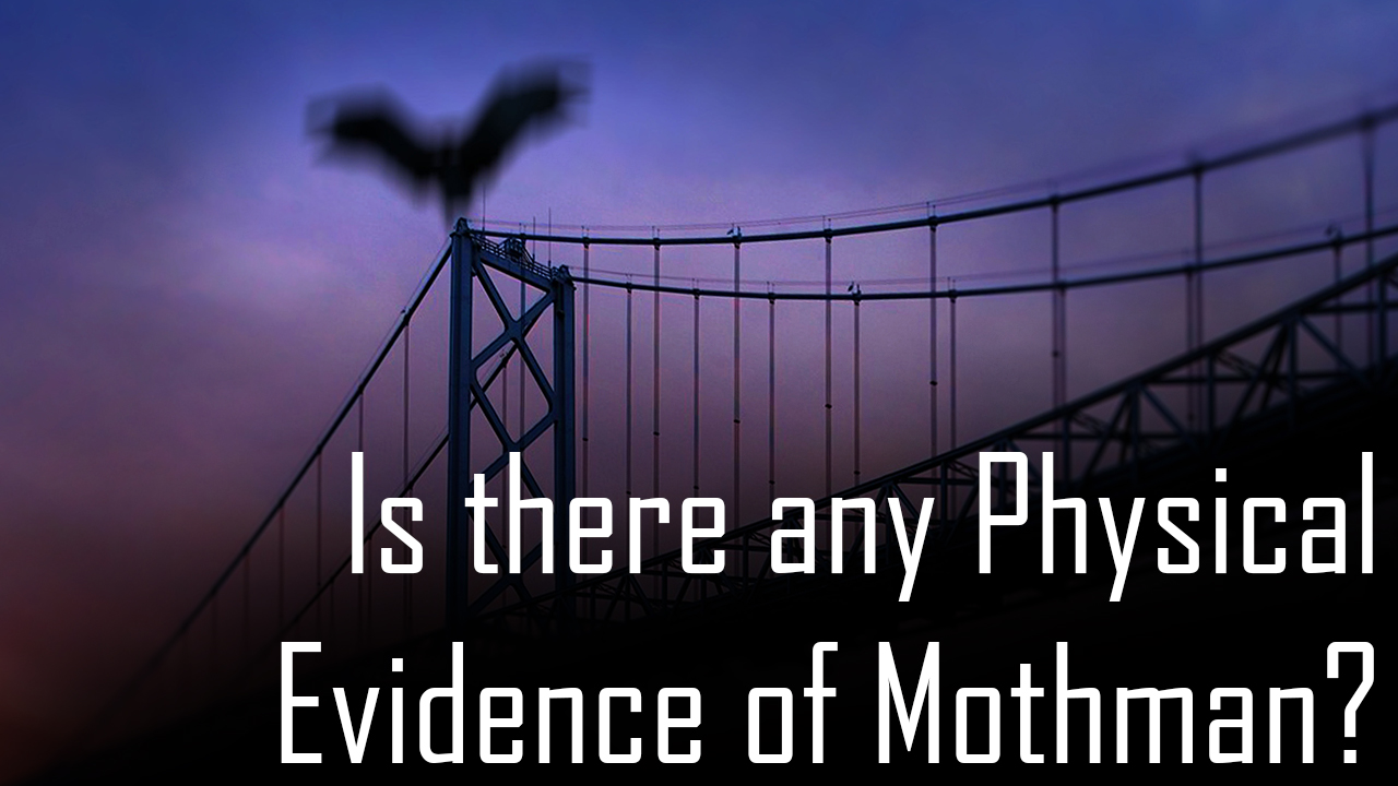 Is there any Physical Evidence of Mothman
