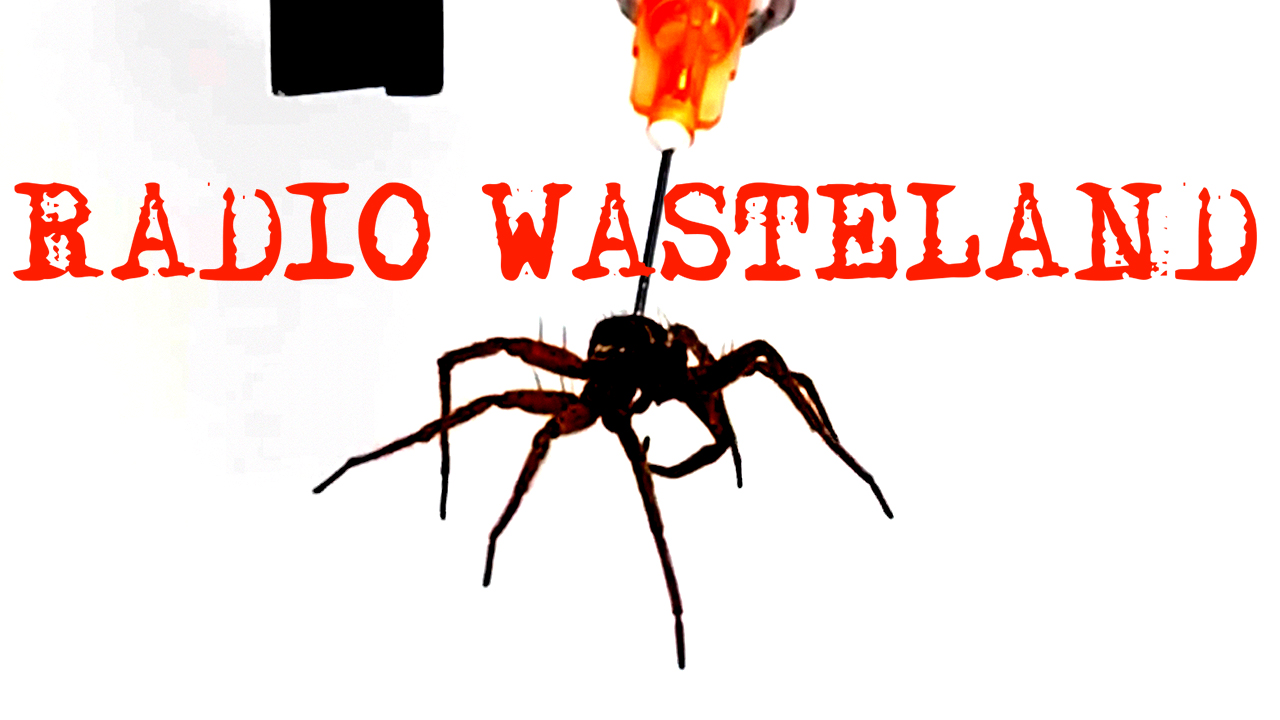 Radio Wasteland #202 Dead Spider Machines, the Loch Ness Monster, whiskey-tango Space Force invasion attempt and more!